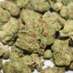 Yada Yada Cherry Do Si Dos indica cannabis